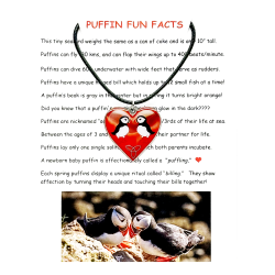 PUFFINS NECKLACE  MG 053